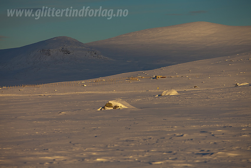 På Valdresflye med Heimdalshøe (1843 moh) i bakgrunnen.