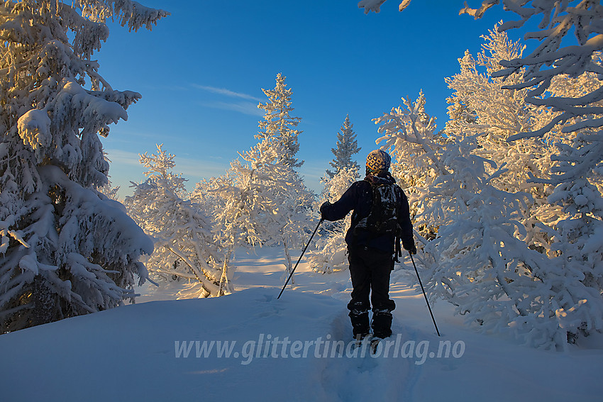 Vintereventyr på Tonsåsen ved Svartetjernknatten (944 moh). I bakgrunnen ser vi mot bl.a. Bjørgovarden.