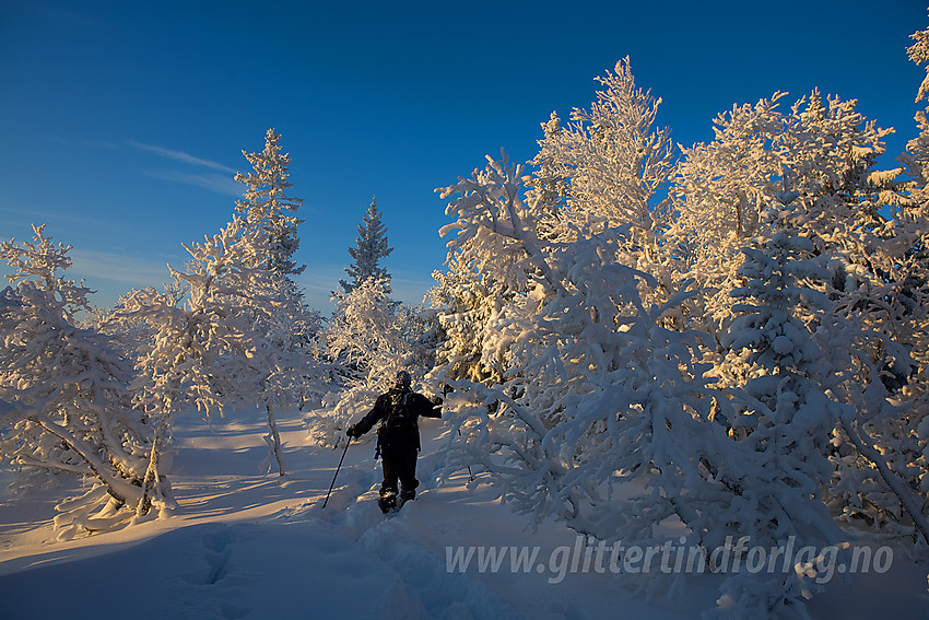 Vintereventyr på Tonsåsen ved Svartetjernknatten (944 moh).