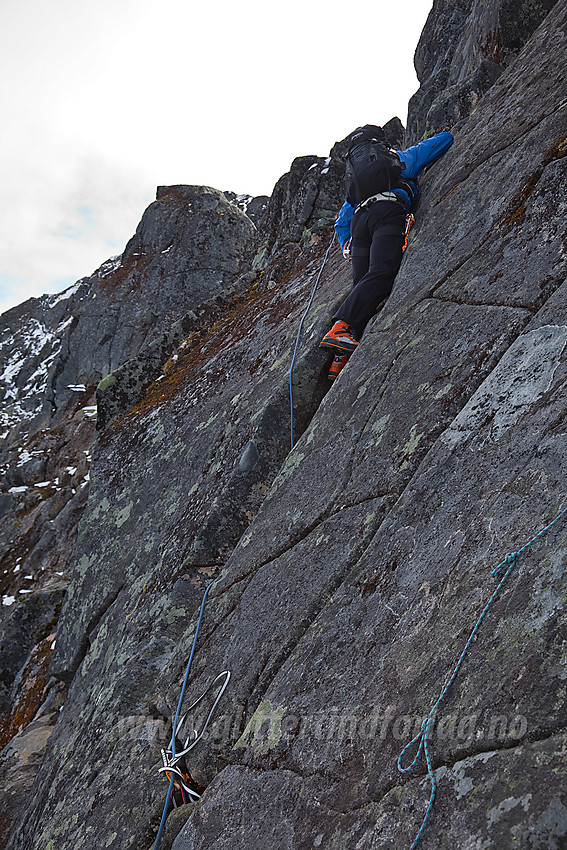 Harald jobber seg forbi og over Patchells sva.