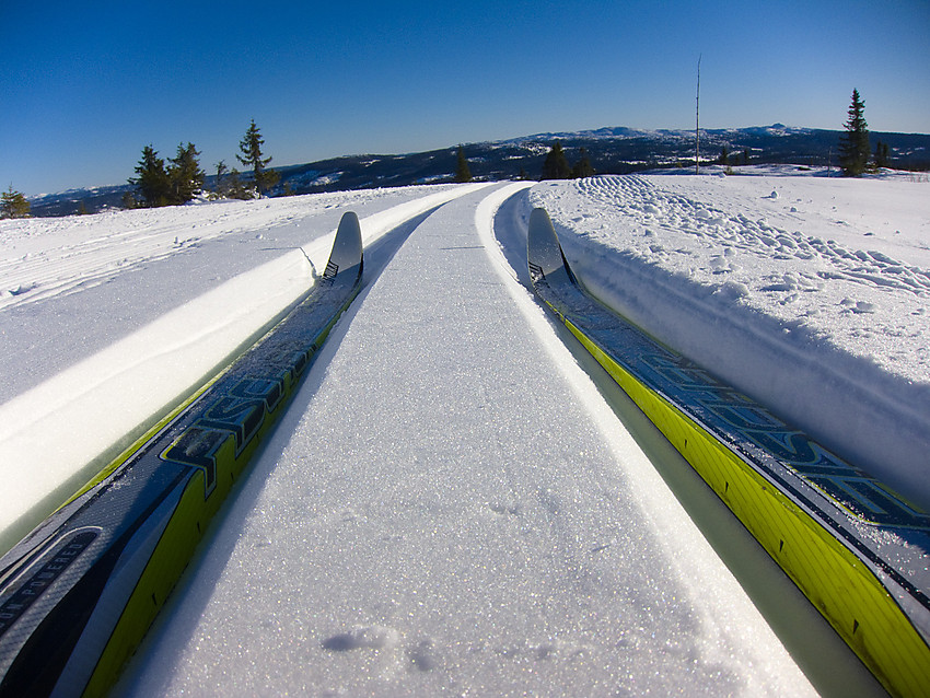 Ski i sporet på toppen av Skardåsen i Nord-Aurdal.