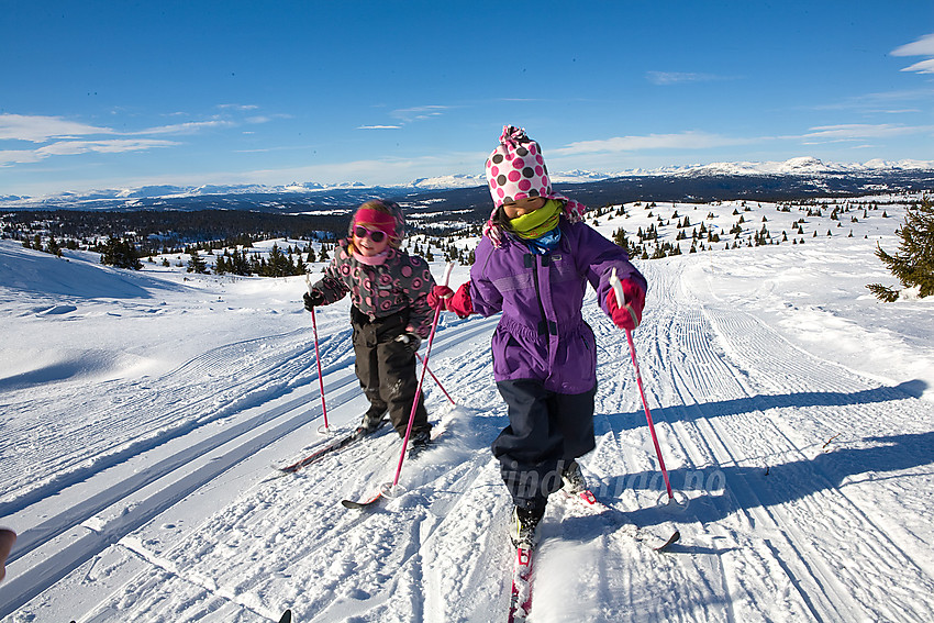 Ivrige små på vei opp mot Smørlifjellet i Nord-Aurdal.