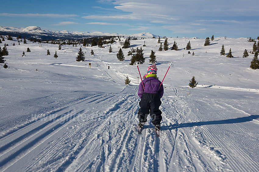 Artig nedkjøring fra Smørlifjellet.