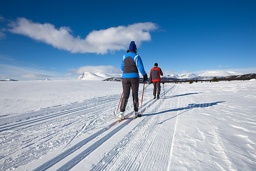 Skiløpere på høyde ovenfor Langestølen. Skogshorn ses i bakgrunnen.