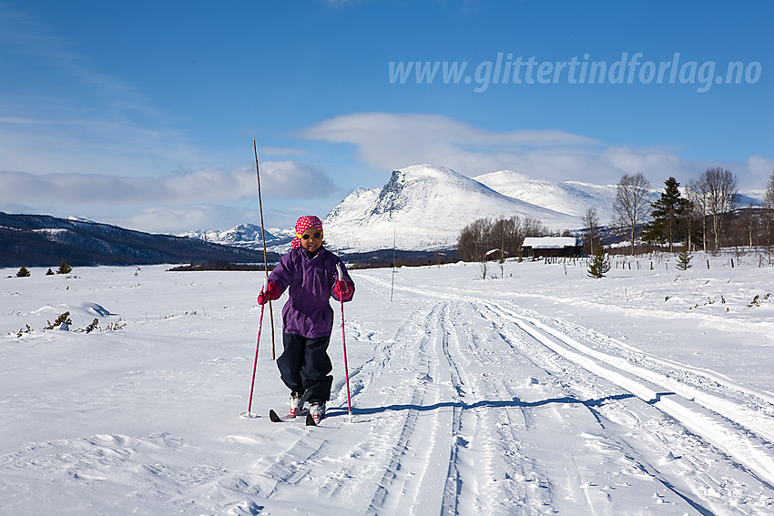 Skiløper ved Langestølen på Stølsvidda. Skogshorn i bakgrunnen.