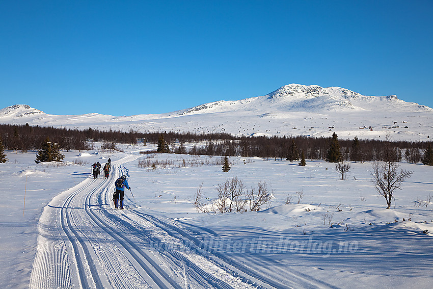 Fellestur med kurs for Skaget som ses i bakgrunnen.