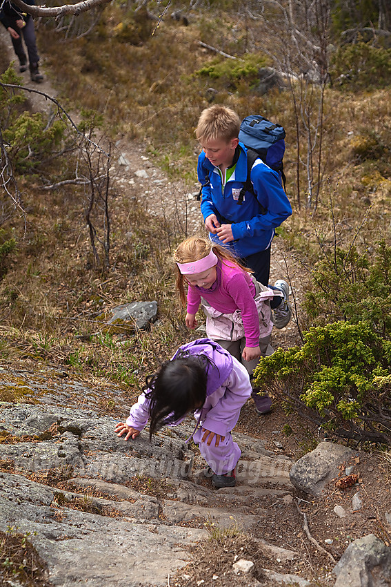 Ivrige barn på tur til Binnhovdknatten.