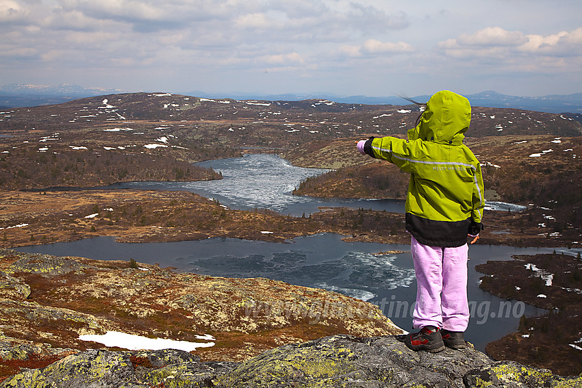 Utsikt fra Binnhovdknatten mot Smørlifjellet.