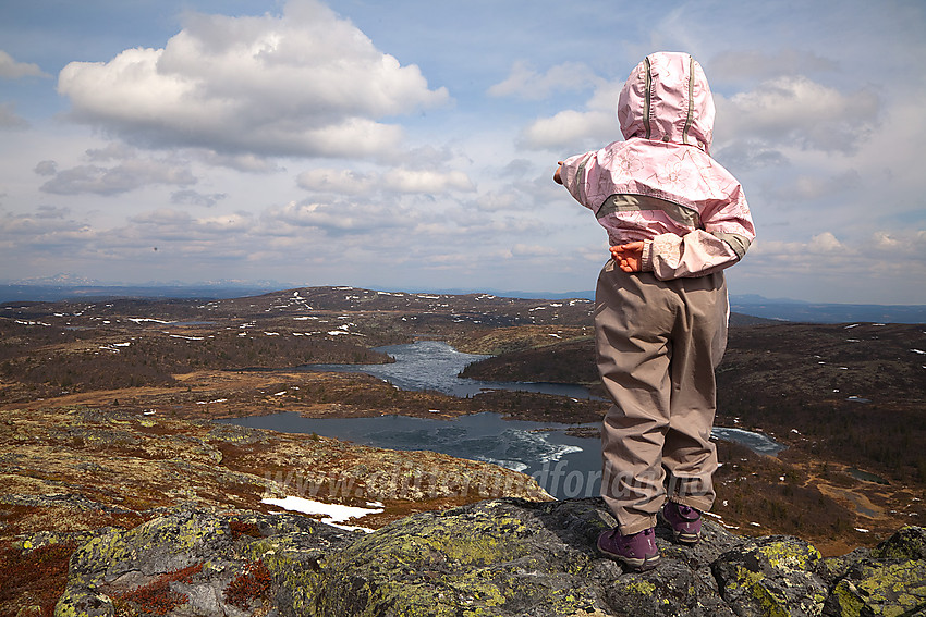 Utsikt fra Binnhovdknatten mot Smørlifjellet.