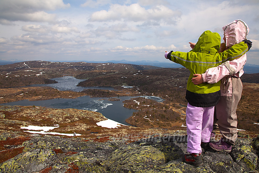 Utsikt fra Binnhovdknatten mot Smørlifjellet.