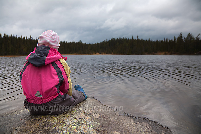 Gråværstur til Kvednatjednet i Nord-Aurdal.