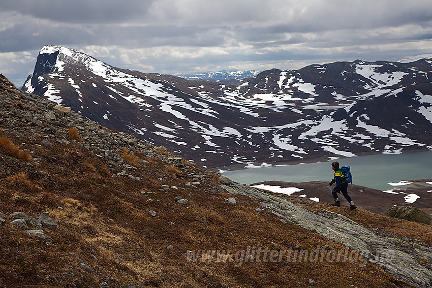 På vei bakkene opp mot Synshorn. Bitihorn i bakgrunnen.