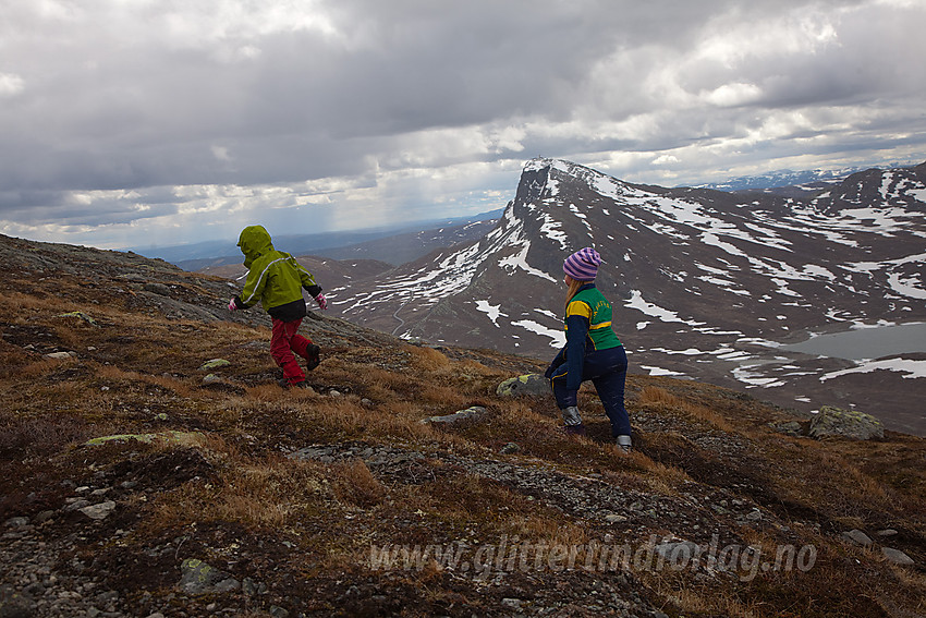 Ivrige fjellvandrere på vei mot Synshorn. Bitihorn i bakgrunnen.