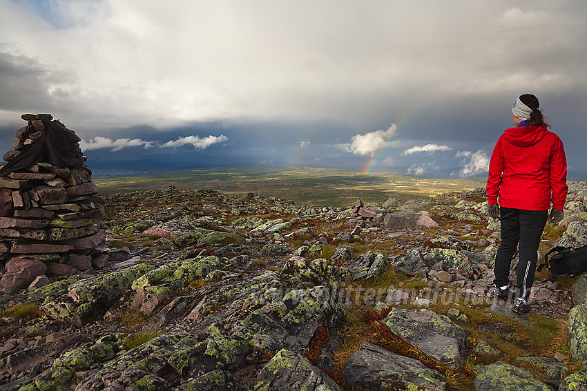 Stemningsfull sommerkveld på Rundemellen. Fra fellestur med DNT Valdres.