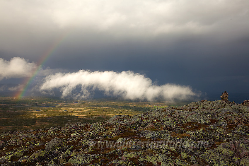 Stemningsfullt etter en byge på toppen av Rundemellen. Fra en fellestur med DNT Valdres.