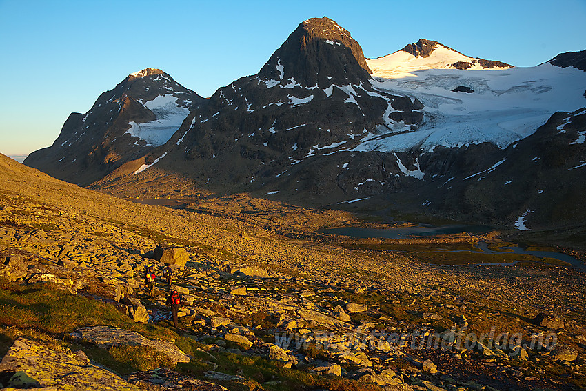 På vei ned fra Søre Nål mot Svartdalen i kveldssola med Kvitskardtinden, Mesmogtinden og Langedalstinden på andre siden. Nå venter en lang marsj tilbake til Torfinnsbu.