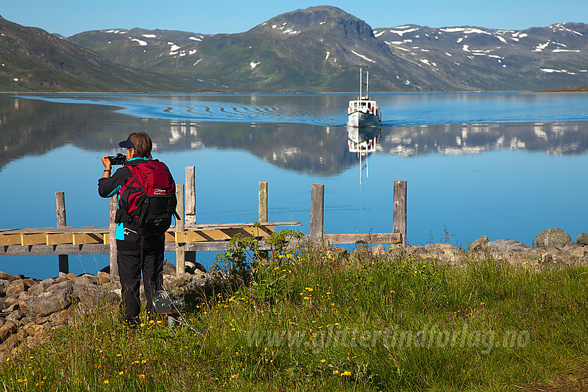 Passasjer venter på M/B Bitihorn ved brygga på Torfinnsbu en fantastisk sommermorgen. I bakgrunnen kommer båten og enda lenger bak ses Dryllenøse.