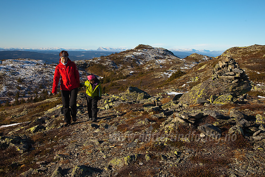 På vei fra Kolsrudstølen mot Bjørgovarden. Sentralt i bakgrunnen ligger en iflg. kartet navnløs topp på 1094 moh. I bakgrunnen fjellrekka fra Hemsedal til Vang.