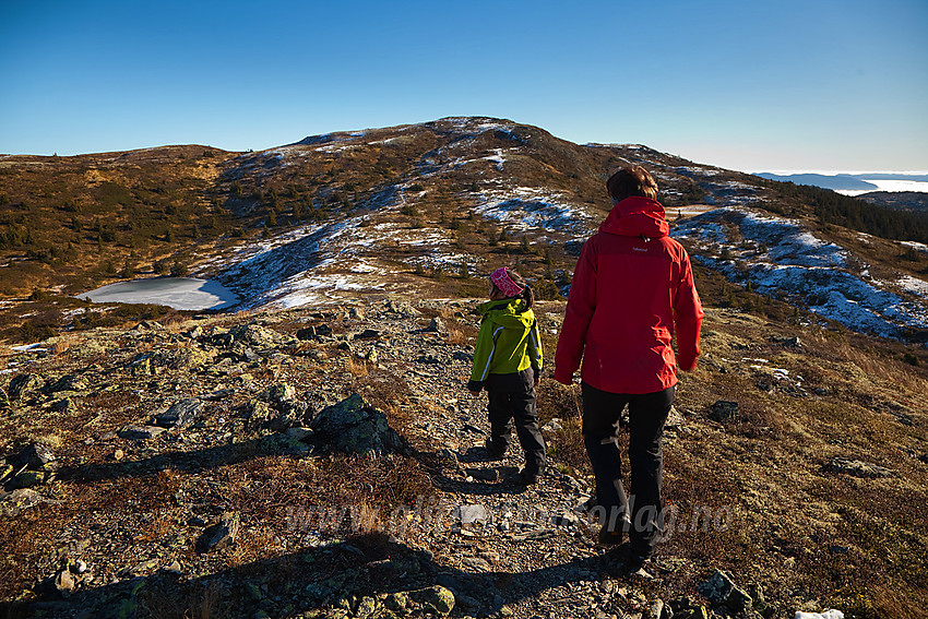 På vei opp til Bjørgovarden fra Kolsrudstølen. Kun en bakke igjen til toppen nå.