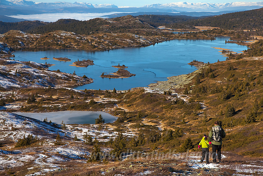 På vei ned fra Bjørgovarden mot Langevatnet. I bakgrunnen ses snøhvitt høyfjell i Vang.