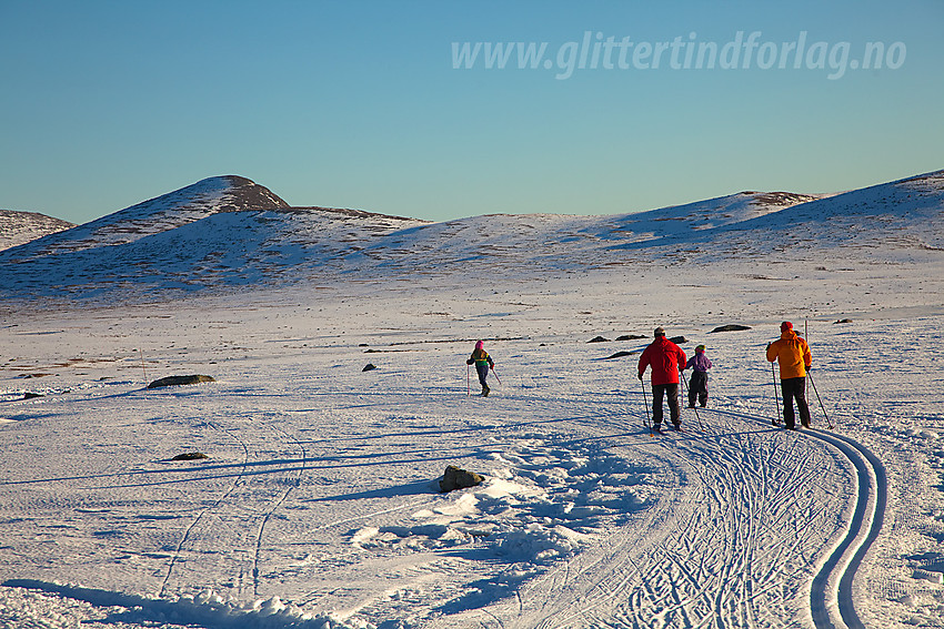 Skiløping på Valdresflye.