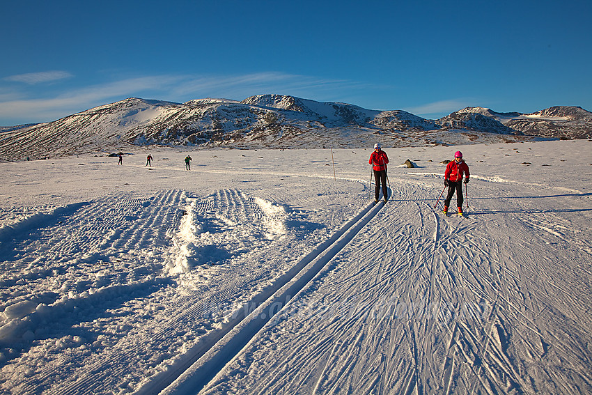 Skiløping på Valdresflye.