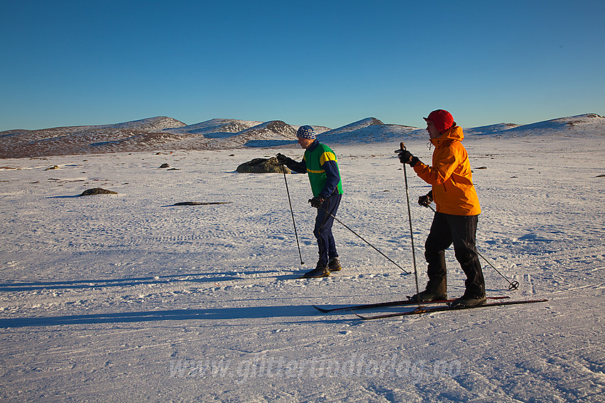 Skiløping på Valdresflye.