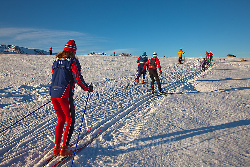 Skiløping på Valdresflye.