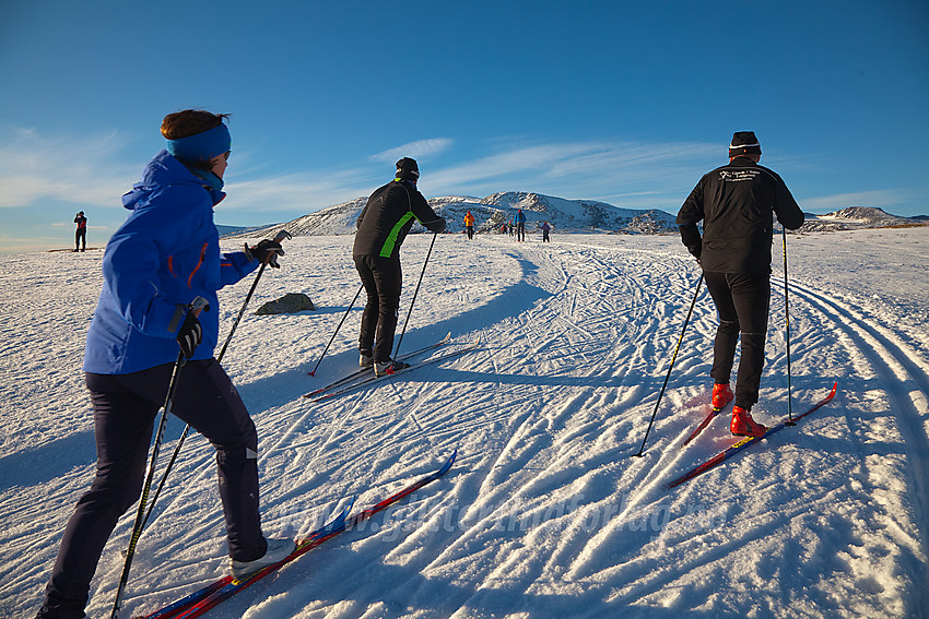 Skiløping på Valdresflye.