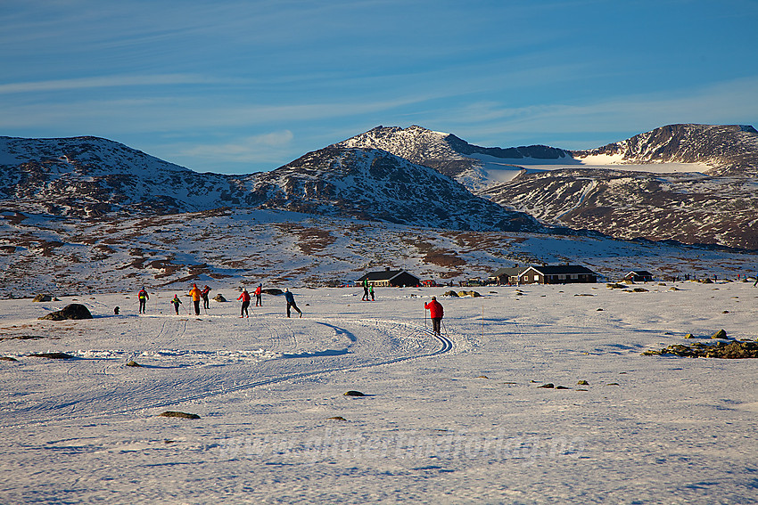 Skiløping på Valdresflye.