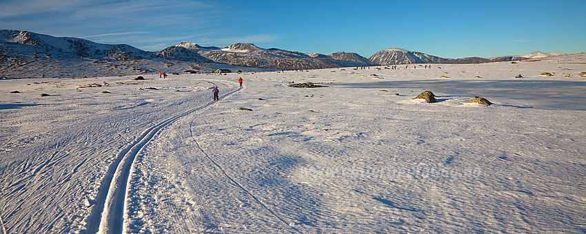 Skiløping på Valdresflye.