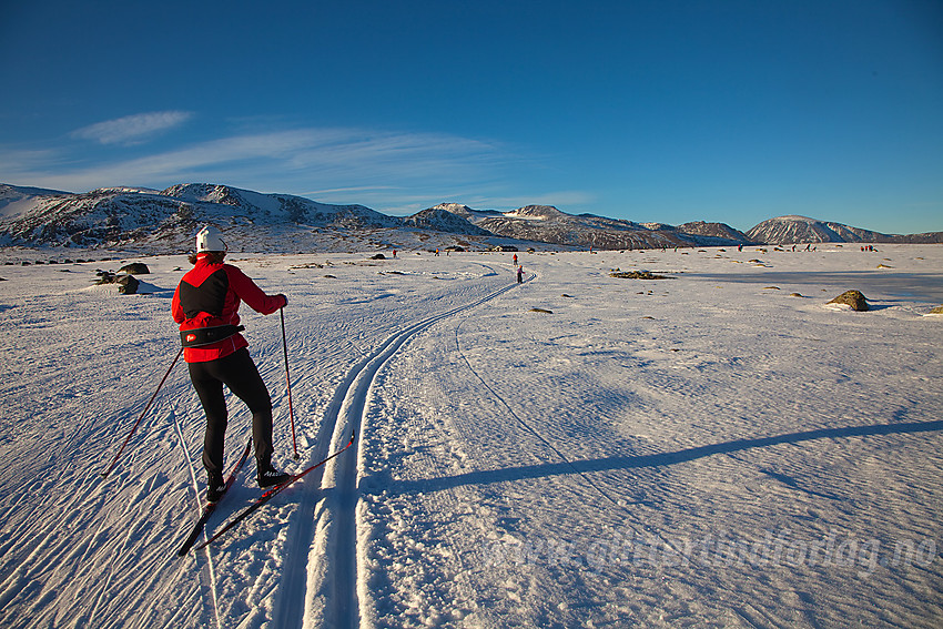 Skiløping på Valdresflye.