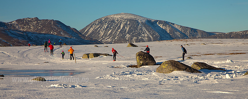 Skiløping på Valdresflye.