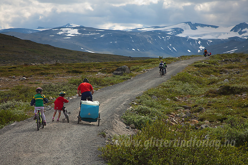 På vei innover Veodalen med sykler på tur til Glitterheim. Ganske løs grus for barn med små sykler og ditto små hjul.