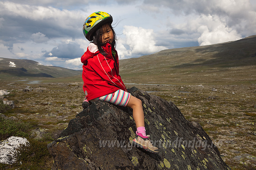 Pause på en stein ved veien inn Veodalen til Glitterheim.