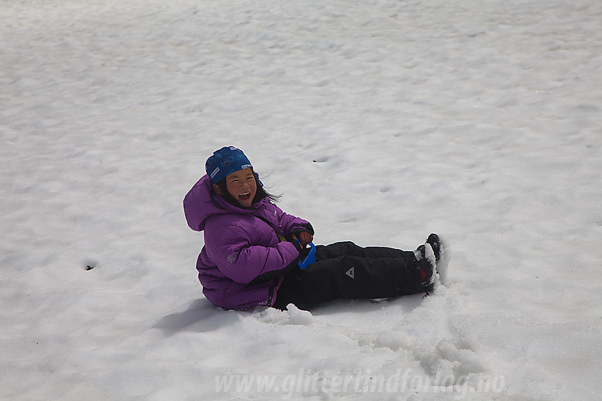 Morsomt med akebrett ned snøfonnene fra Glittertinden. På felles familietur med DNT Valdres.