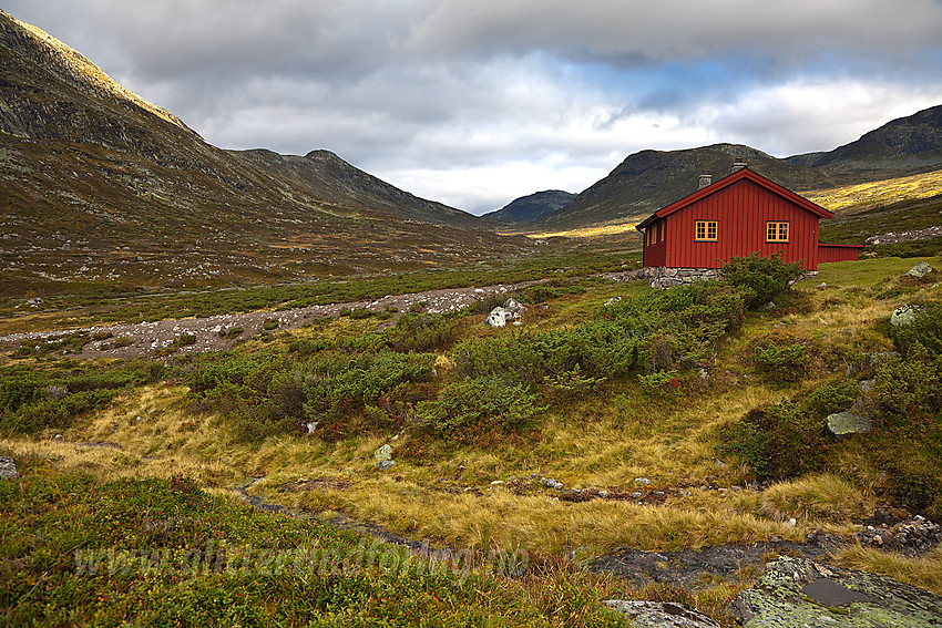 I Sanddalen i Vang ved stølsgrenda i enden av veien.