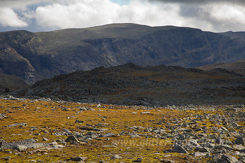 I fjellet nær Skyrifjellet med utsikt i retning Vennisfjellet (1777 moh).