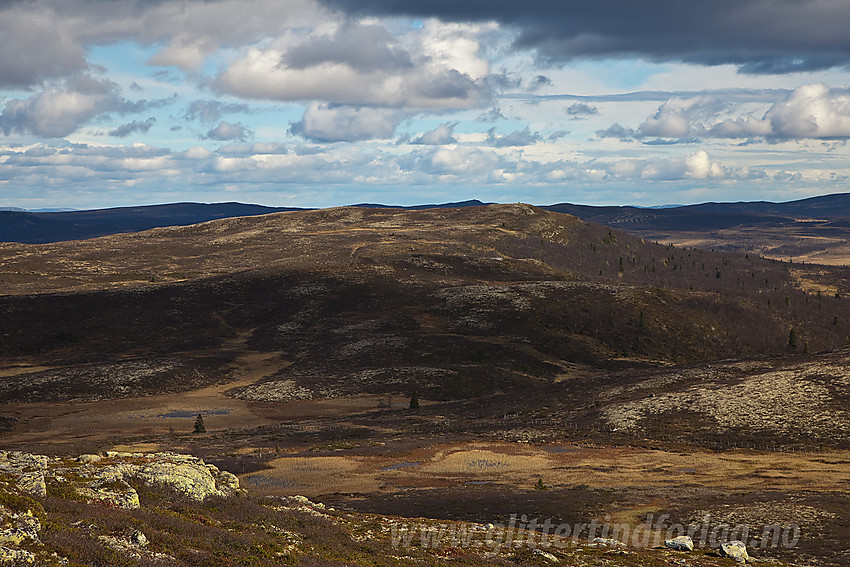 Mot Sælifjellet på retur fra Myrebærhammaren. 