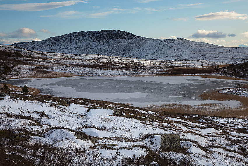 Skarvemellen (1267 moh) sett fra nord-nordvest.