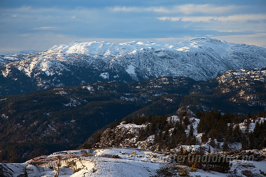 Utsikt fra Tåråfjellet mot Lifjell med Øysteinnatten (1174 moh) til høyre.