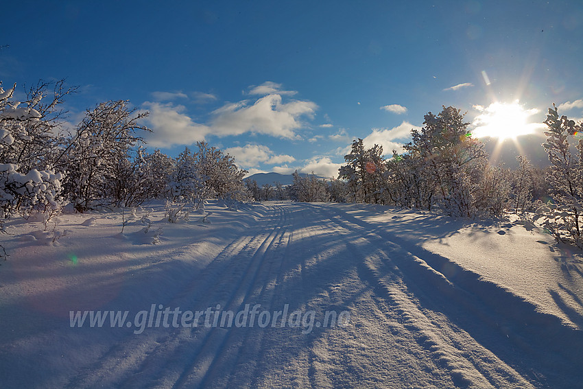 På vei innover mot Helin og Smådalsfjellet.