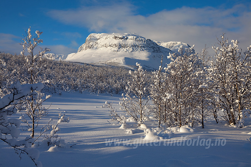 Fra skiløype innover mot Helin mot Grindane (1724 moh).