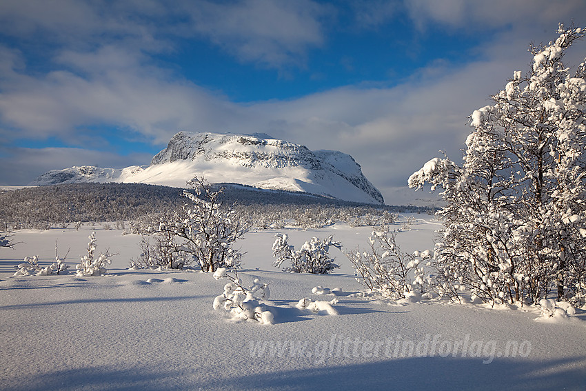 På åsen mellom Grindaheim og Helin med Grindane (1724 moh) midt i mot.