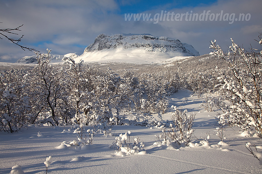 På åsen mellom Grindaheim og Helin med Grindane (1724 moh) midt i mot.