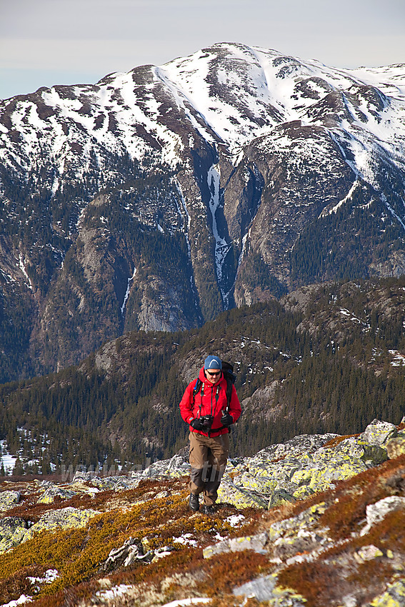 På vei oppover med kurs mot Mælefjell. Skorvetoppen (1370 moh) i bakgrunnen.