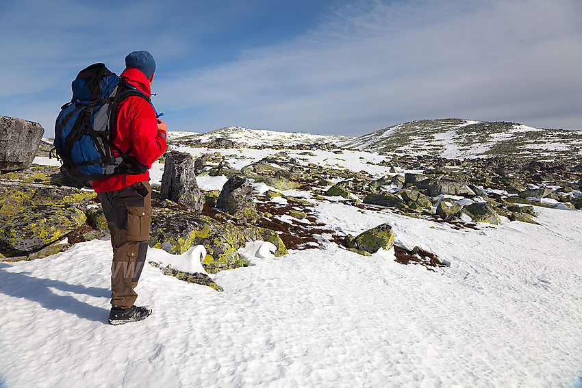 Utsikt innover Steinfjellet nord for Grunningsdalen.