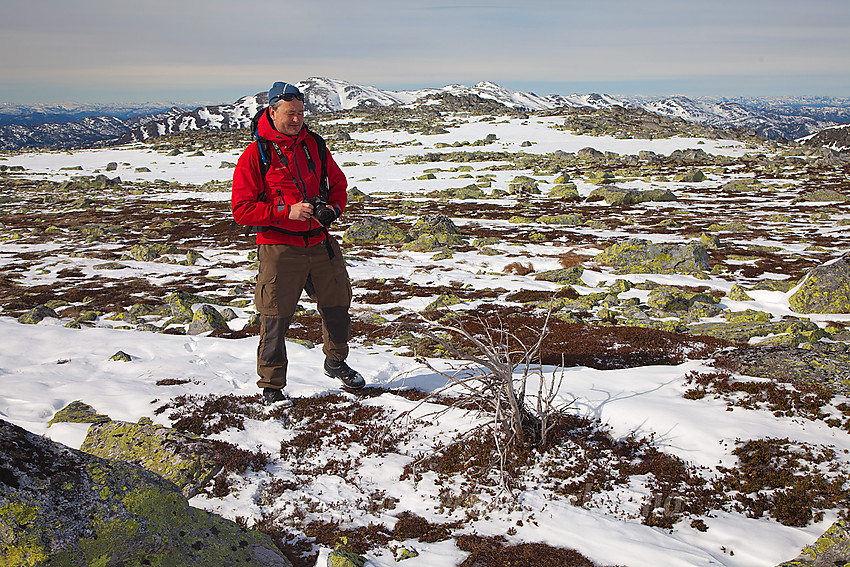 Pål har fattet interesse for en noe ensom og uttørket busk på Steinfjellet. Skorvefjellet ses i bakgrunnen.