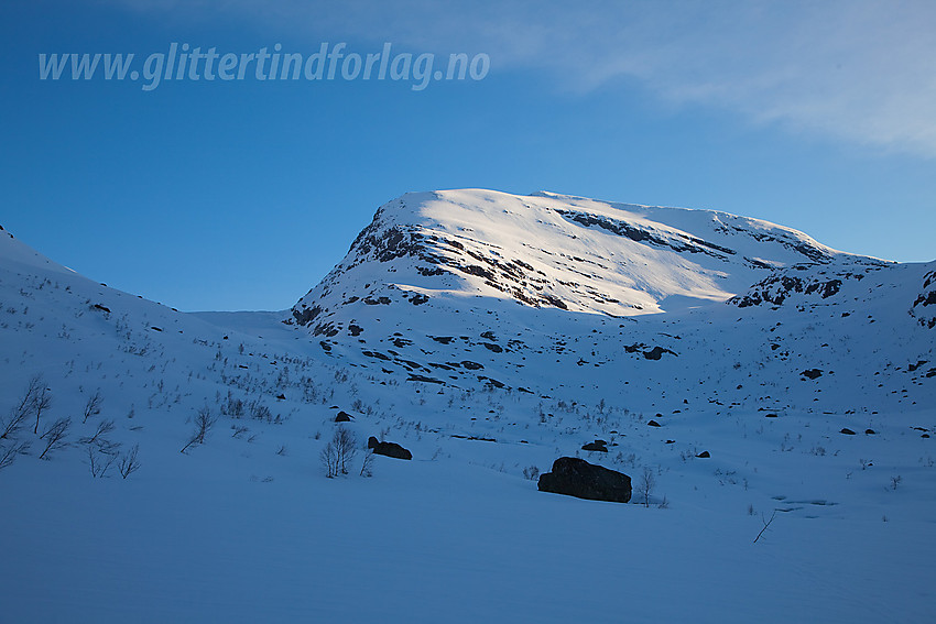 Søre Kvannefjellet (1567 moh) fra Haugadalen. Haugabreen anes oppe i skaret til venstre.