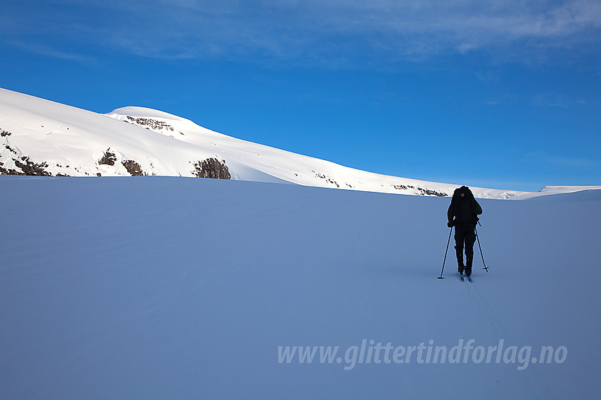 På vei oppover Haugabreen med Snønipa (1827 moh) i bakgrunnen.